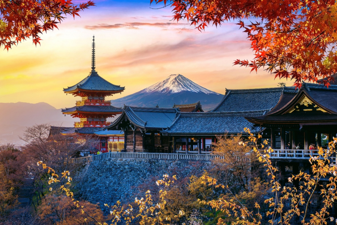 Nakamura Study Japan News